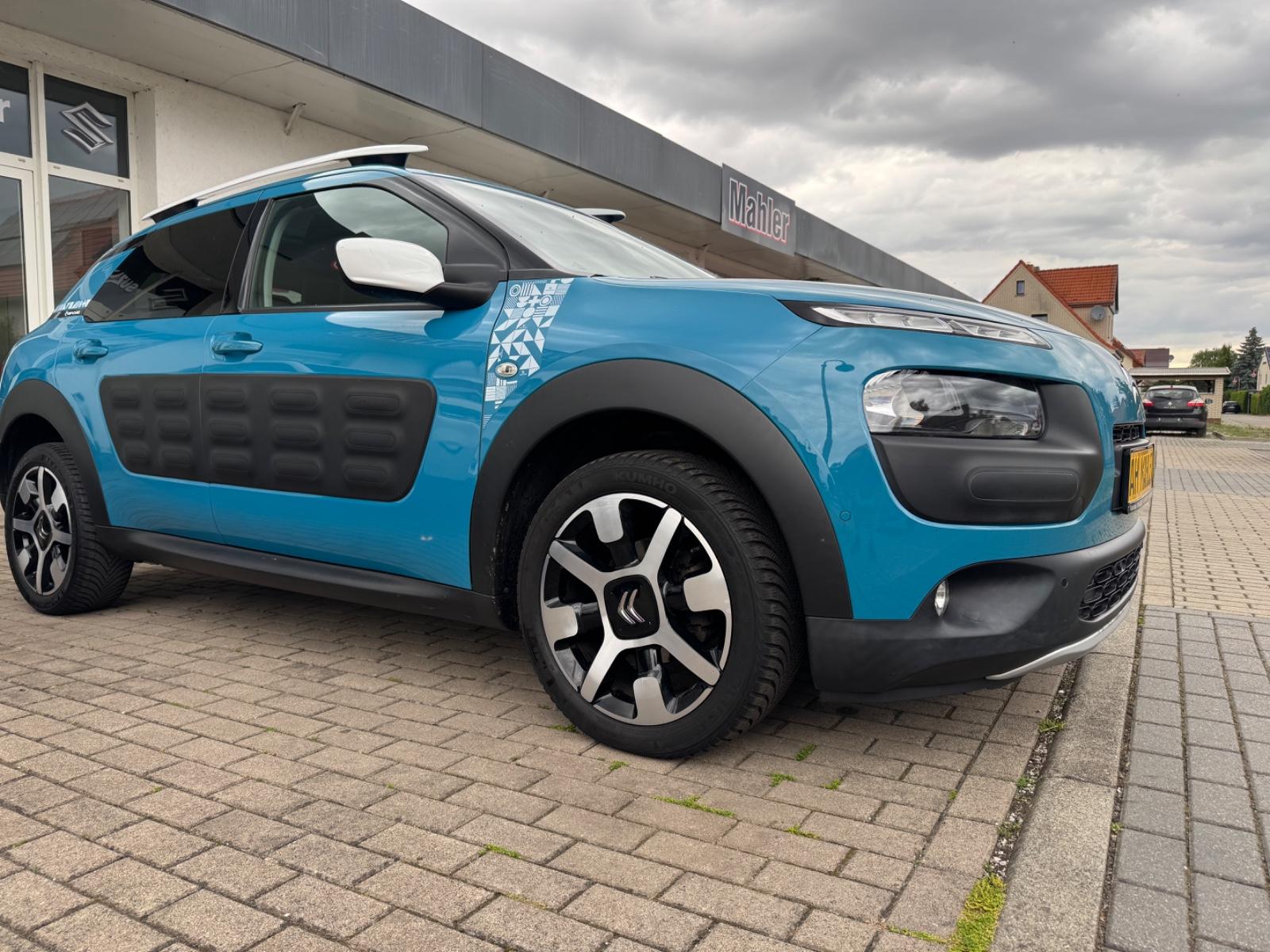 Citroën C4 Cactus Rip Curl/Navi/Allwetter