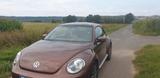 Volkswagen Beetle 1.2 TSI BMT ALLSTAR Dark Bronze Metallic  - : Braun, Metallic