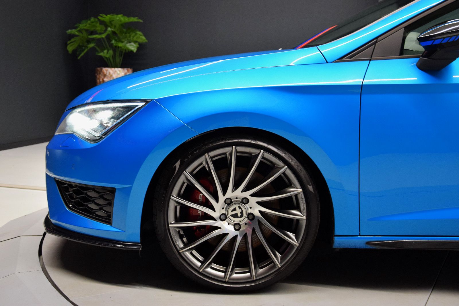 Fahrzeugabbildung SEAT Leon Cupra 290 Dynamic-Paket Sonderlackierung