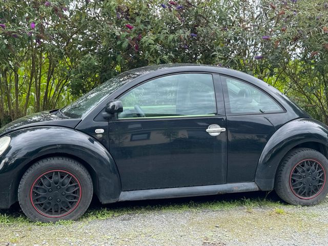 Volkswagen VW Beetle zu verkaufen