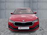 Skoda Octavia Combi 2.0 TDI DSG FIRST EDITION NAVI+AHK - Skoda: Allradantrieb