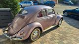 Volkswagen Käfer Ovali 1955 - Volkswagen Käfer: Ovali