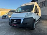Fiat Ducato Maxi Tetto Alto - Fiat Ducato aus 2011: Van