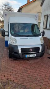 Fiat Ducato Verkaufswagen mit 5,40m Kühltheke - Pkw-Anhänger Verkauf