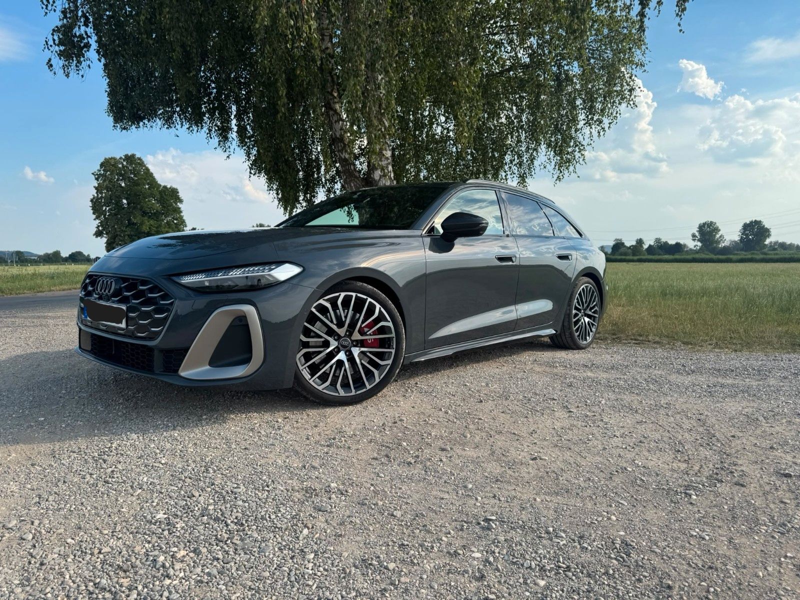 AUDI S5 Avant Day One Edition | Panorama | B&amp;O |