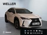 Lexus UX 250h Style Edition *Bi-LED*ACC*CAM*SHZ*CarPla - Lexus UX in Bremen