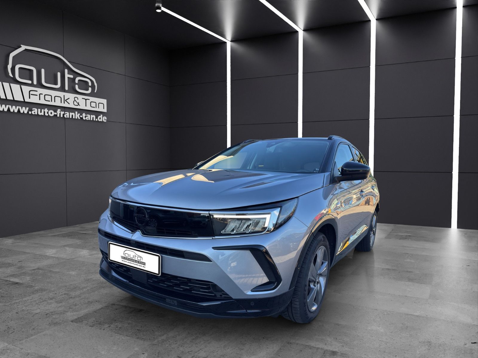 Fahrzeugabbildung Opel Grandland (X)/GS /Winter Paket/Navi/Style Paket