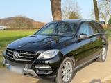 Mercedes-Benz Mercedes Benz ML 350 Tüv Neu|Service Neu - Mercedes-Benz ML 350 in Dortmund