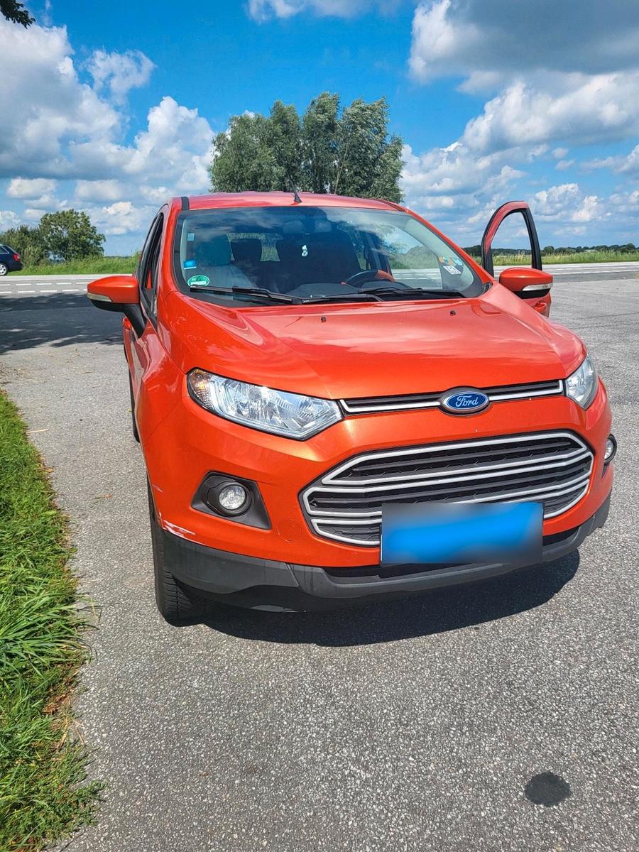 Ford EcoSport 2015 — салон