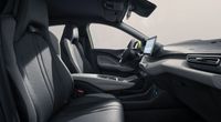 BYD DOLPHIN SURF - Vorschau Bild 9