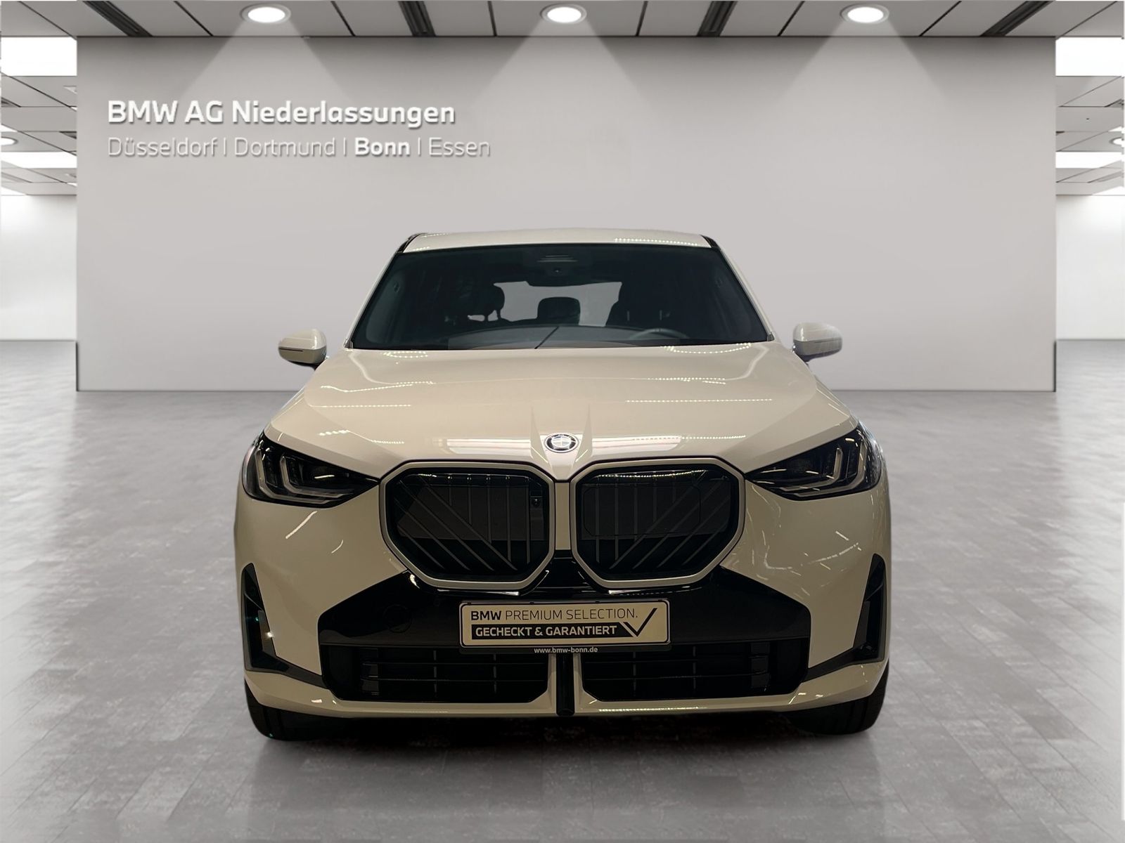 BMW X3 - Bild 8