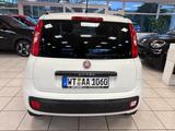 Fiat Panda Easy - gebrauchte Fiat Panda aus dem Jahr 2020