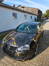 Volkswagen VW Golf 5 V GTI Edition 30 Pirelli Sondere... - Volkswagen Golf: Pirelli V GTI