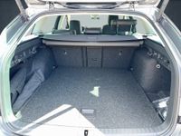 Skoda Octavia - Vorschau Bild 12