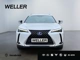 Lexus UX 300e *Luxury*Komfort-Plus*Executive Paket* - Lexus Gebrauchtwagen in Osnabrück
