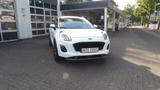 Ford Puma Titanium *SHZ*GRA*beh. Scheibe&Lenkrad*LED - Ford Puma mit Hybrid-Antrieb