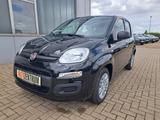 Fiat Panda MY' 25 1.0 Hybrid SITZHEIZUNG CITY-PAKET
