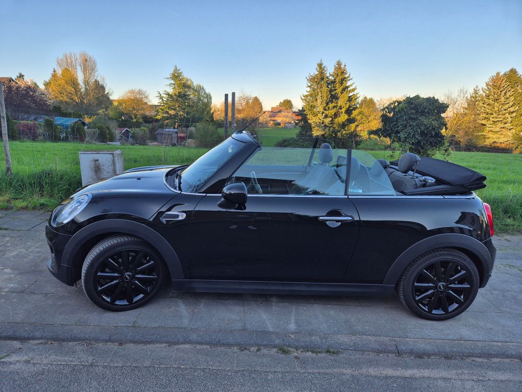 Image of MINI Cooper Cabrio