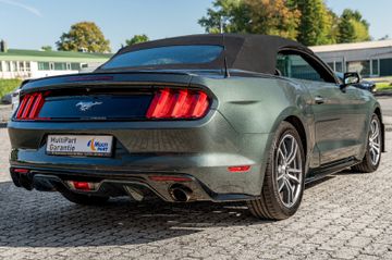 Ford Mustang - 12
