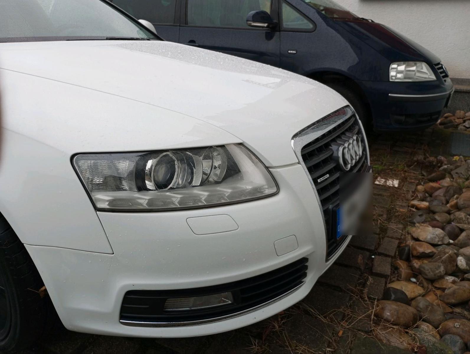 Audi Quattro 2010 — photo 12