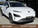 Hyundai KONA SELECT ELEKTRO 2WD SHZ LHZ KAMERA PDC KLIMA - Hyundai KONA: Select