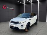 Land Rover RR Evoque 2.0 Si4 5p. Dynamic sport 2 - Land Rover aus 2012: Sport