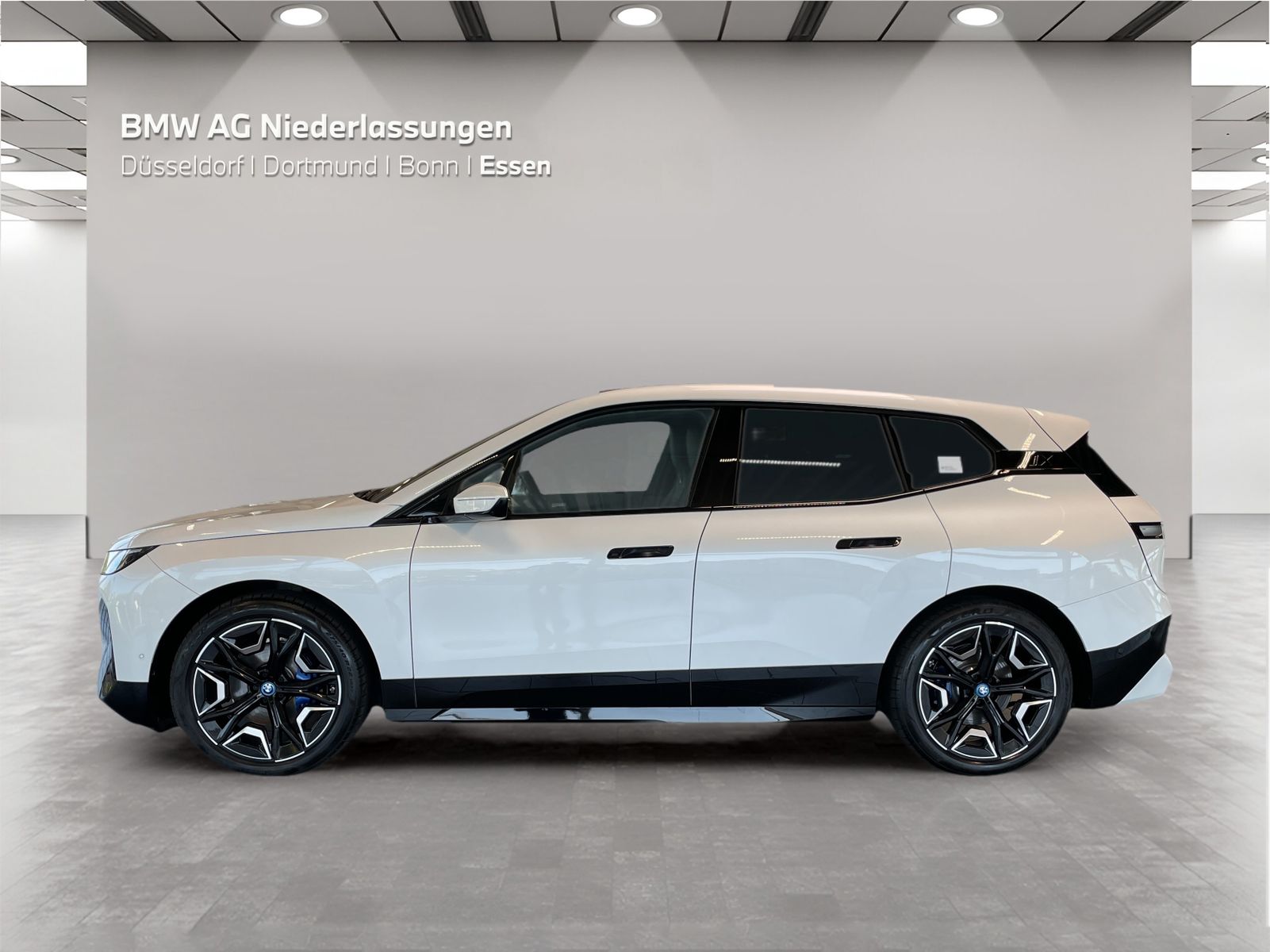 BMW iX xDrive50 Bowers & Wilkins Driv.Assist.Prof foto 3
