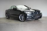 BMW 220 d Cabrio M Sport Navi/Leder/Temp/H&K/ - BMW 220 in Braunschweig