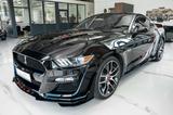 Ford Mustang GT 5,0 SHELBY GT 500 PREMIUM VOLL - Ford: Shelby