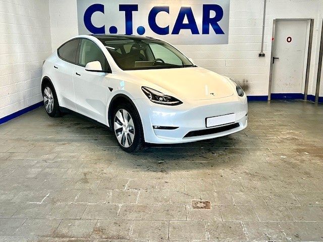 Tesla Model Y Long Range Dual AWD Leder Panorama