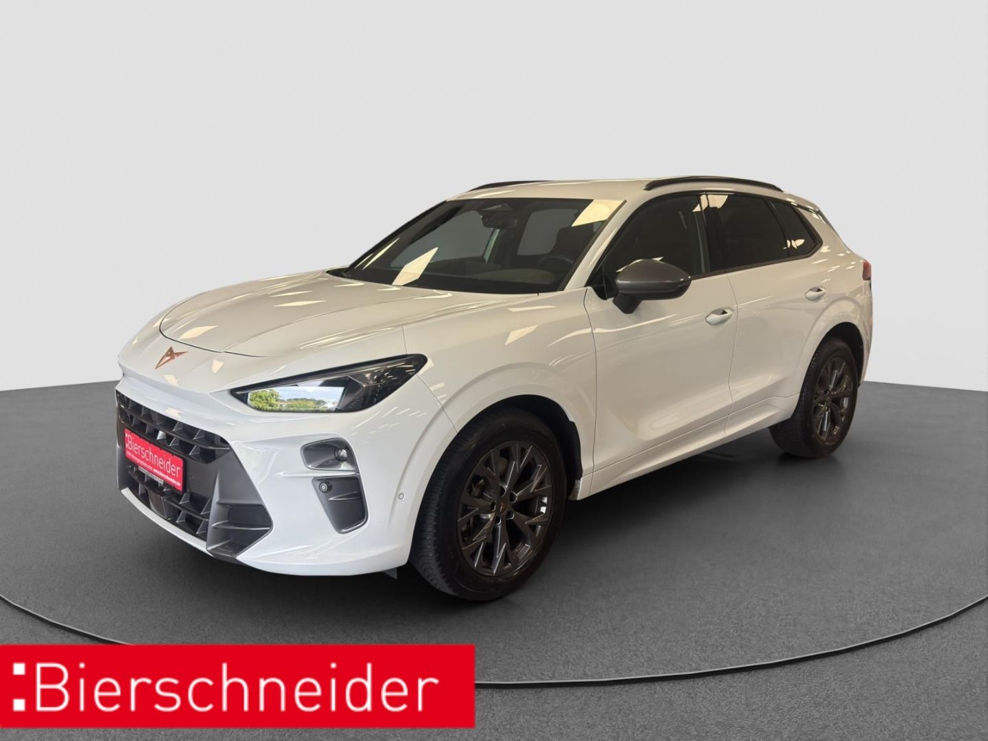 Cupra Terramar 2.0 TSI DSG 4Dr. ab 298,- + 2000,- Anz.