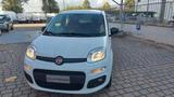 Fiat FIAT Panda 1.0 GSE S&S Hybrid Pop Van 2 posti Az - Fiat Panda POP mit Hybrid-Antrieb (Benzin/Elektro)
