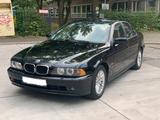 BMW 525i E39 Angel Eyes Klima Navi 16:9 Xe... - BMW: Angel Eyes