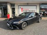 Lexus ES 300h Executive Line - LED, Pano, Leder - Lexus ES-Serie: Limousine