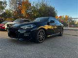 BMW 218i / M Sport / Panorama / Harman Kardon  - BMW 218 Gran Coupé: Limousine