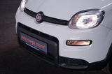 Fiat Panda 1.0 MY24 GSE Hybrid*Klima*4-Sitzer* - Fiat Panda: Sitzer