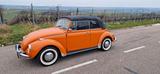 Volkswagen VW Käfer 1302 LS,Cabrio, 50PS - aus 1972: Cabrio