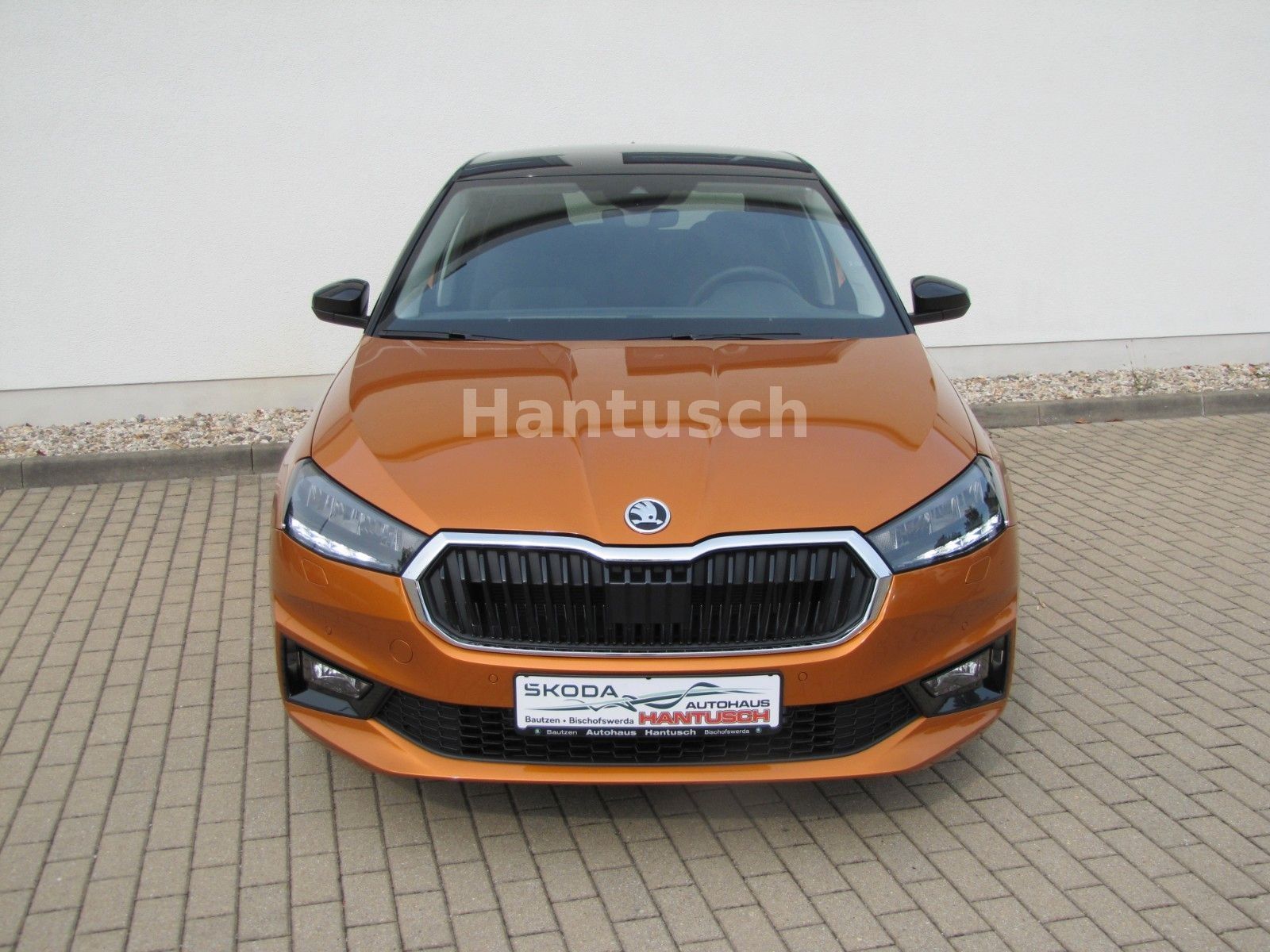 Fahrzeugabbildung SKODA Fabia Selection 1.0l TSI 95PS