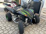 Dinli 450 Special S - DINLI QUAD