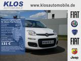 Fiat Pandina PANDA POP HYBRID 1.0 GSE 65PS PDC - weiße Fiat New Panda