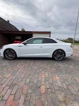 Audi S5 3.0 TFSI tiptronic quattro - - Audi S5 mit Panoramadach