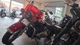 Harley-Davidson Hydra Glide Revival  - HARLEY-DAVIDSON HYDRA GLIDE REVIVAL