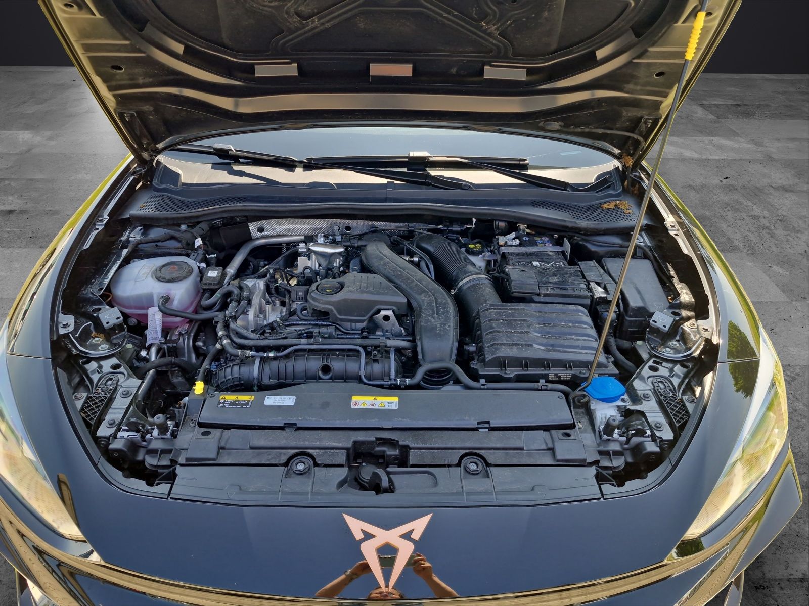 Fahrzeugabbildung CUPRA Leon Sportstourer 1.5 eTSI DSG ACC LED KAMERA