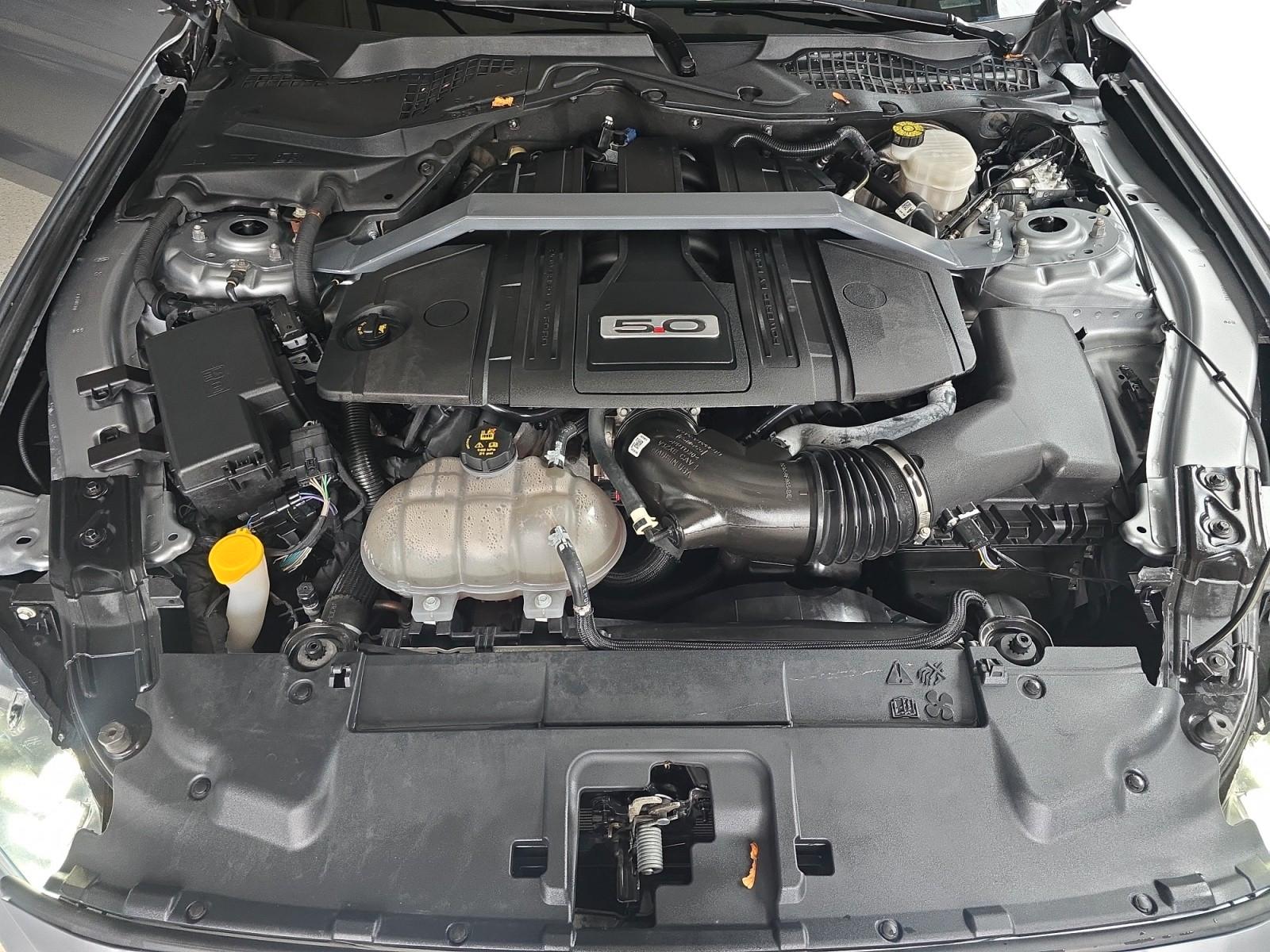 Ford Mustang GT 5.0 V8 Premium / SBL / ACC, миниатюра 17
