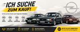 Opel Ich suche alte Opel-Modelle bis zum Baujah... - Opel Commodore: B