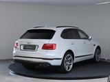 Bentley Bentayga V8 404kW - Bentley Bentayga Gebrauchtwagen