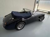 Austin Healey Andere - Austin Healey aus 1965