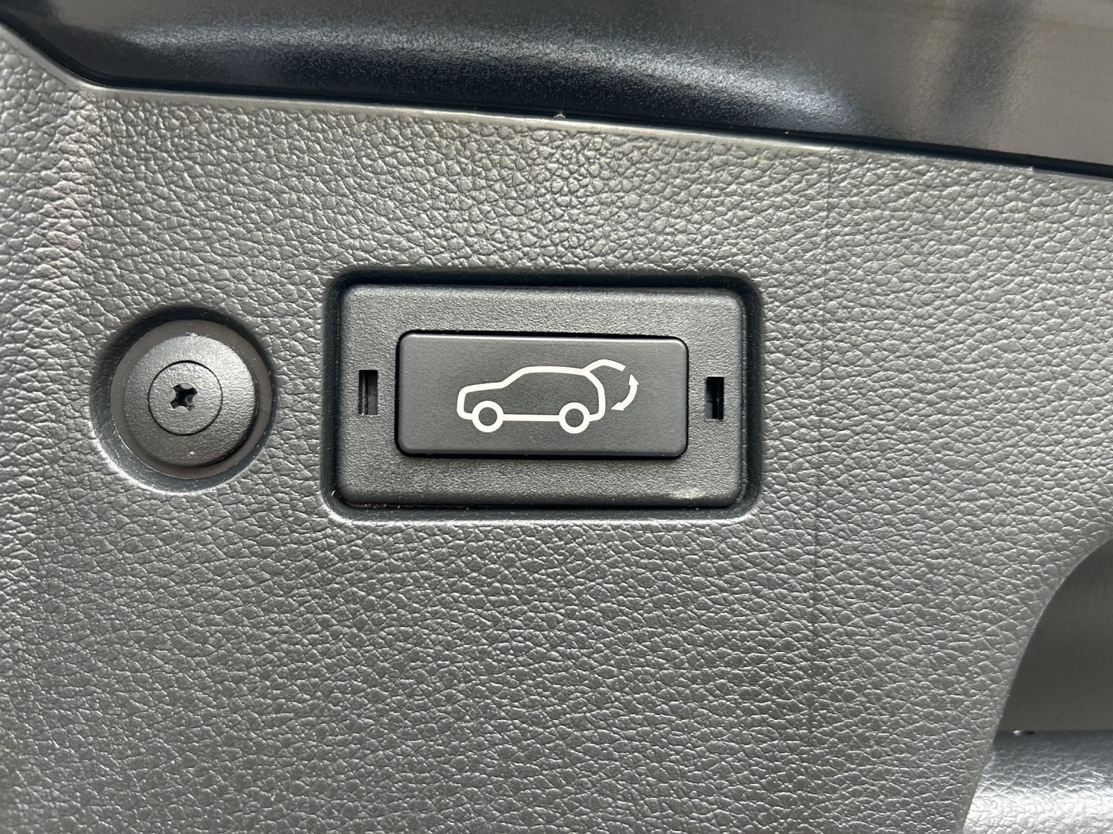 Fahrzeugabbildung Ssangyong Torres 1.5 T-GDI FOREST EDITION Aut./CAM/LED/ACC