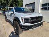 Ford F150 Raptor, MY25,AHK,SOFORT 3,5 V6 - Ford F 150: Automatik