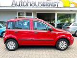 Fiat Panda 1.2 8V Dynamic *nur26tkm+Klima+1.Hand* - Fiat Panda in Mainz